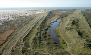 De eerste stap op Texel is duin