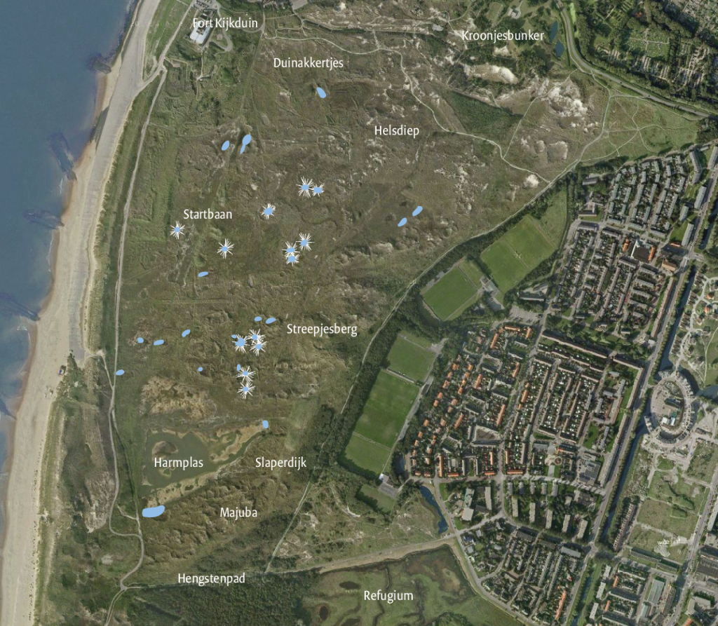 Bomkraters en poelen in duinen Den Helder (ontleend aan Roos, 2011). Let ook op de veldnamen met militaire achtergrond: Fort Kijkduin (Napoleontische tijd) Kroontjes bunker (WO-II), Startbaan (militair oefenterrein tot eind vorige eeuw). Bewoners noemde na de oorlog de duinen wel 'Bunkerstad' of ' Verboden duinen'.