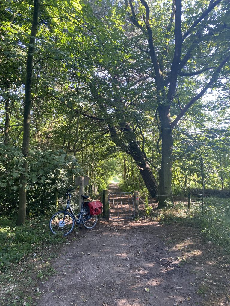 Einde Locomotiefpad, nabij Tenellaplas